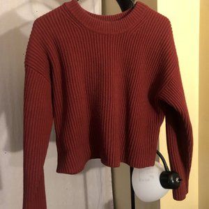 uniqlo u-collection  red sweater